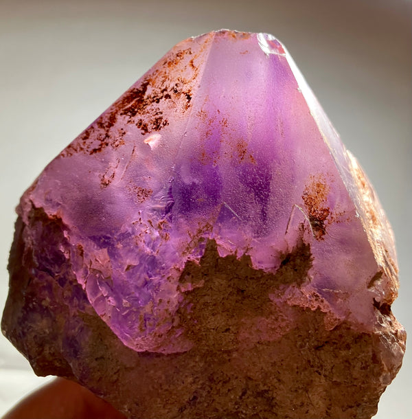 FPC41backlit_600x.jpg?v=1704133075