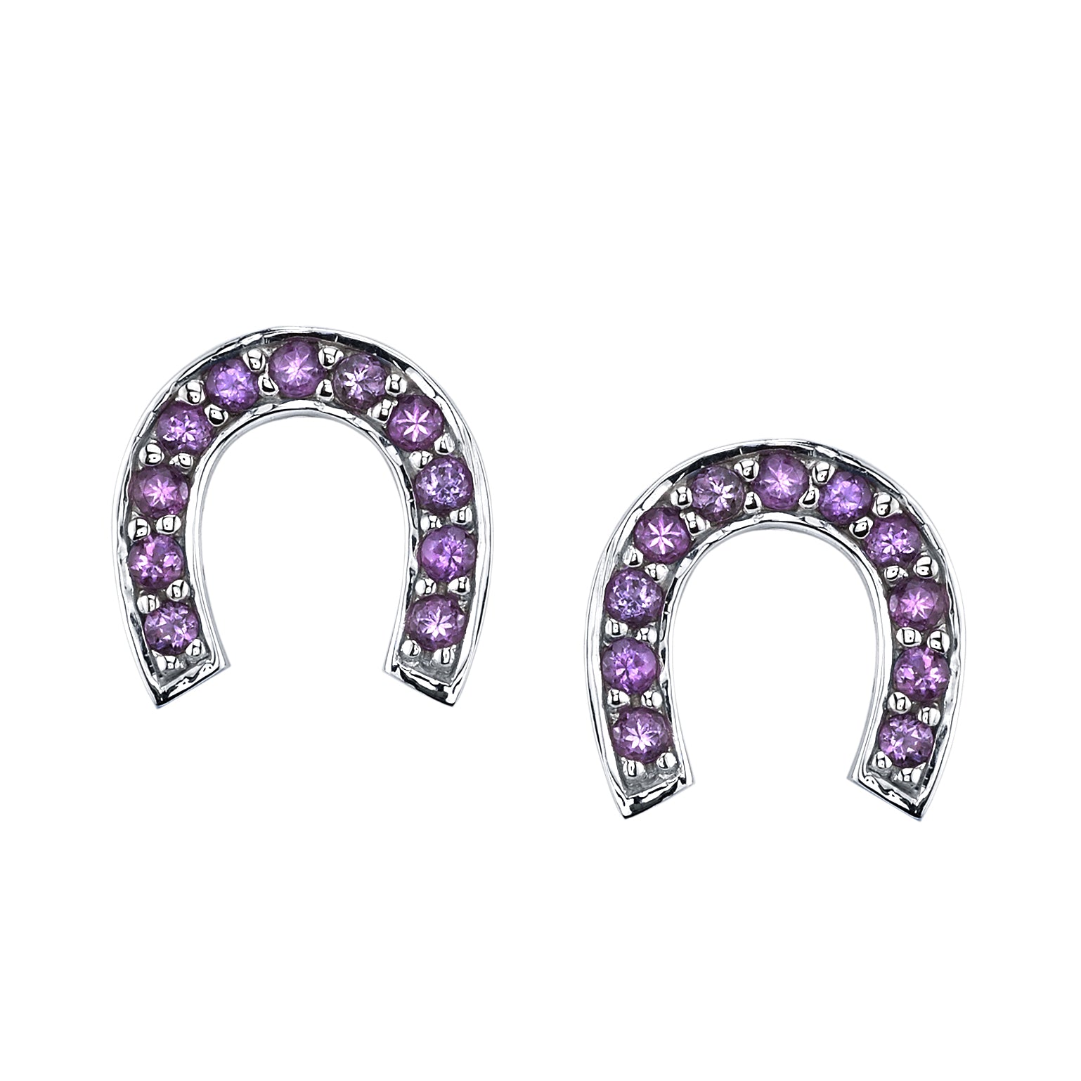Horseshoe Stud Earrings